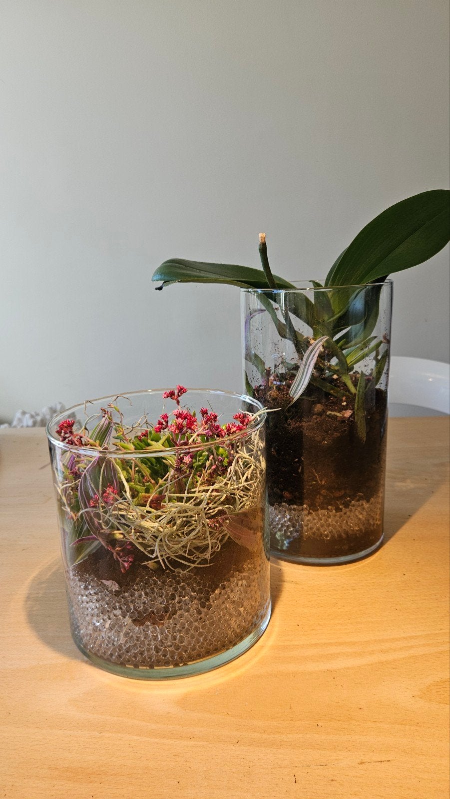 gevuld glaswerk, Maison & Meubles, En pot, Plante à fleurs, Moins de 100 cm, Enlèvement