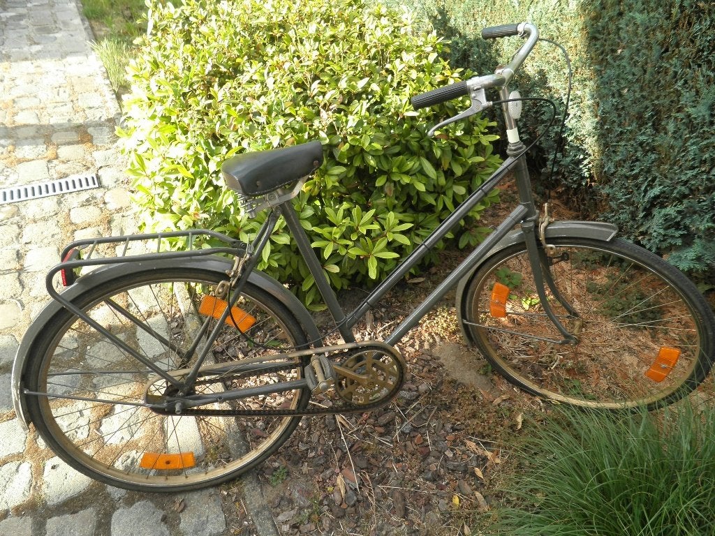 Festival fietsen te koop.