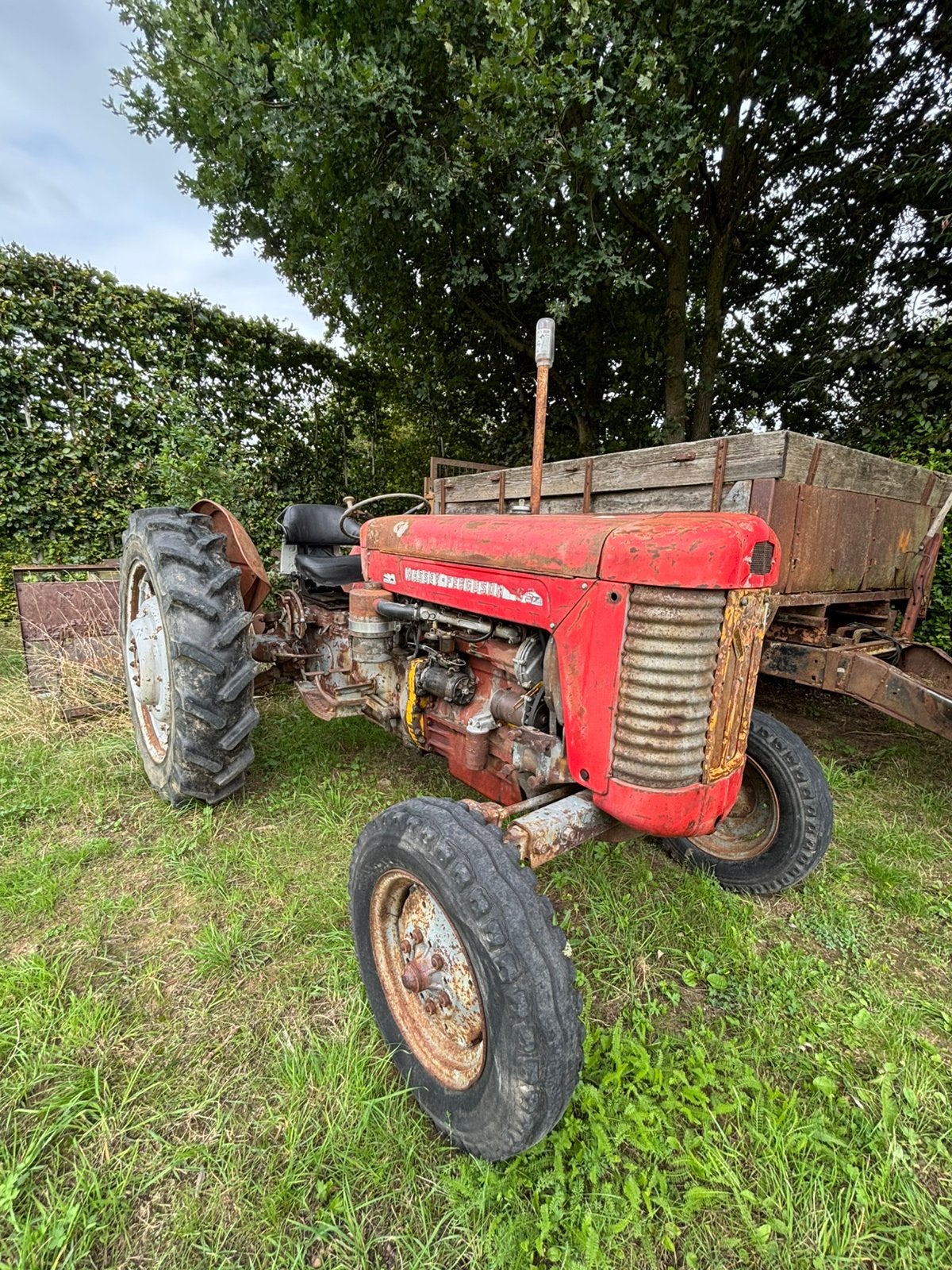 Massey Ferguson MF65, Articles professionnels, Enlèvement ou Envoi, Massey Ferguson