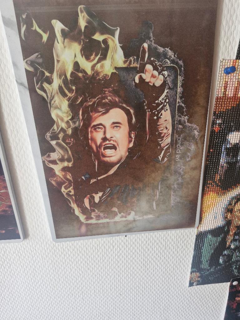 Plaque johnny hallyday, Enlèvement, Neuf, Autres sujets/thèmes, Photo