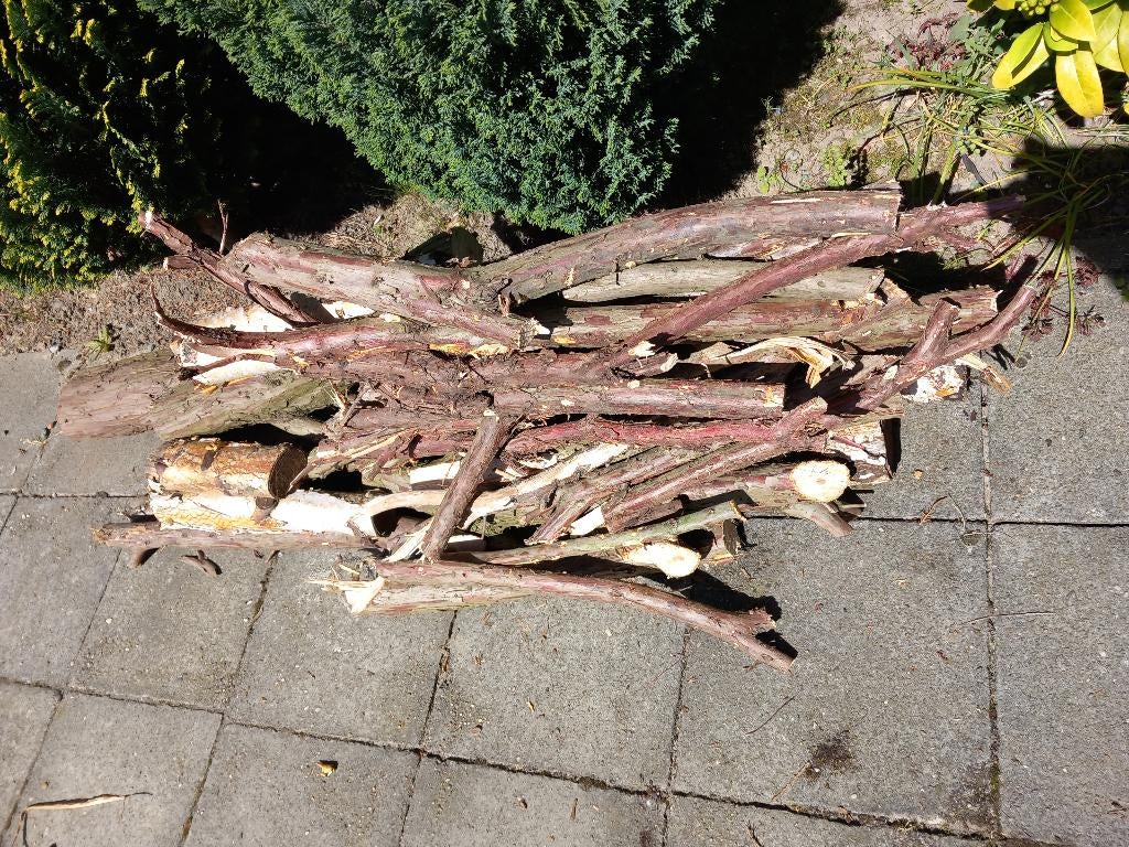 Gratis brandhout, Tuin en Terras, Brandhout, Ophalen
