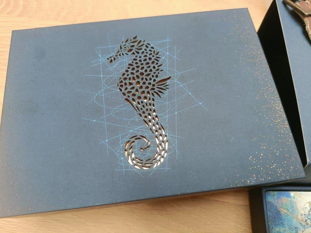 Treasure case Tomorrowland planaxis 2018, Verzamelen, Ophalen