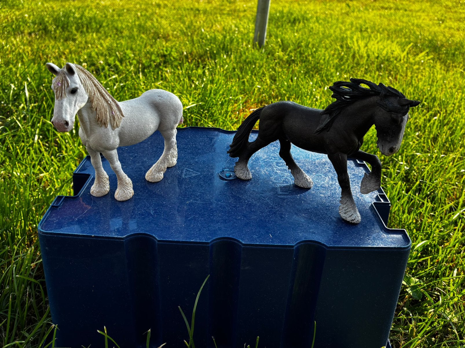 diverse schleich paarden, Ophalen of Verzenden, Gebruikt