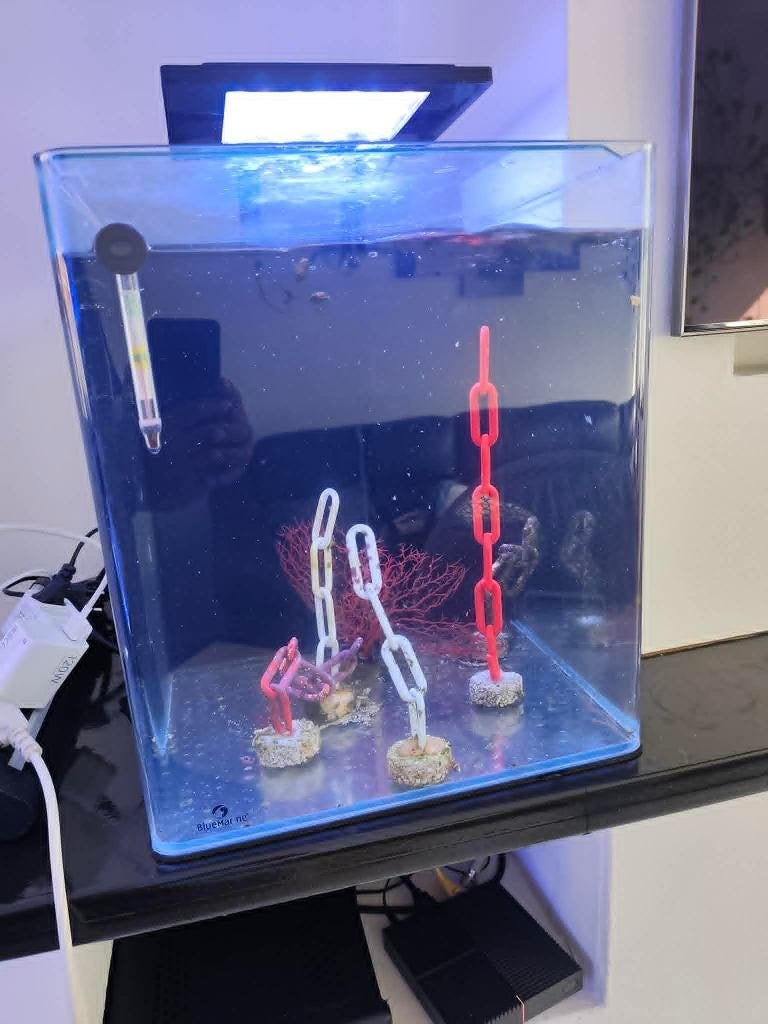 Aquarium nano blue marine 60, Aquarium vide, Enlèvement, Utilisé, Blue Marine