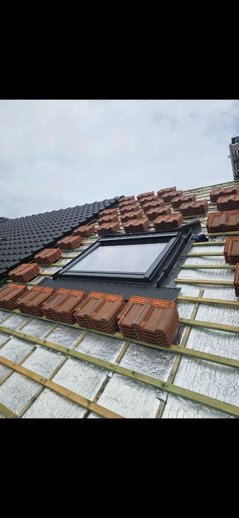 Gratis dakreparatie van David