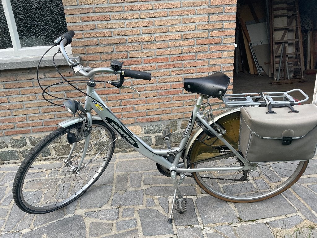 Damesfiets, Gebruikt, Velgrem, (Extra) lage instap, Ophalen