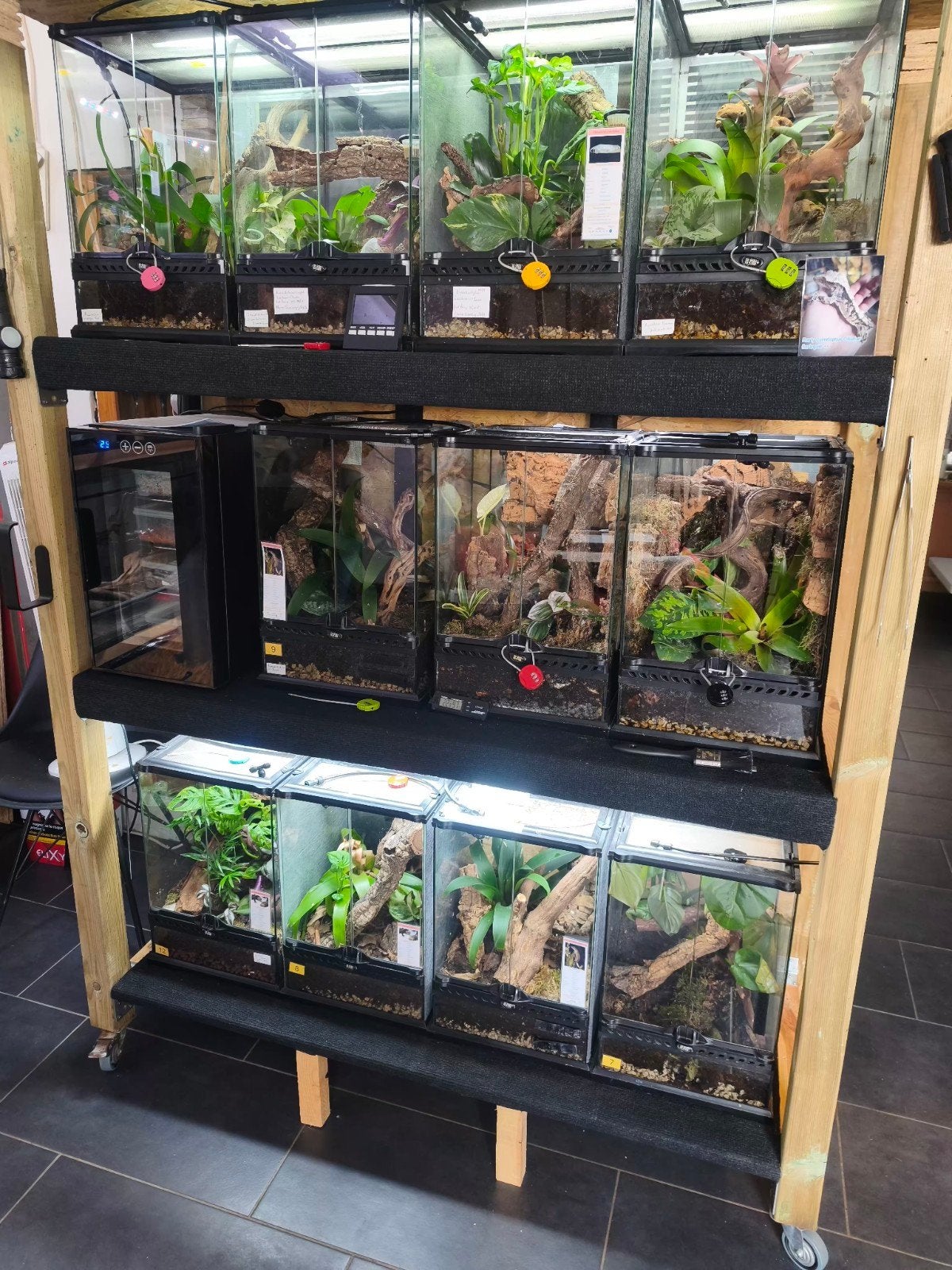 Exo Terra 60x45x90 et 30x30x45 avec Leachianus, Enlèvement, Comme neuf, Terrarium ou Paludarium