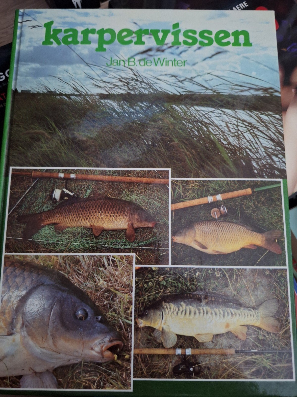 Karpervissen / Jan B. De Winter, Boeken, Ophalen of Verzenden