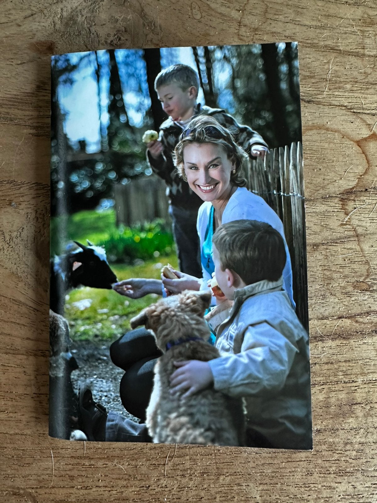 Originele herdenkingskaart Marie-Rose Morel, Ophalen of Verzenden, Zo goed als nieuw