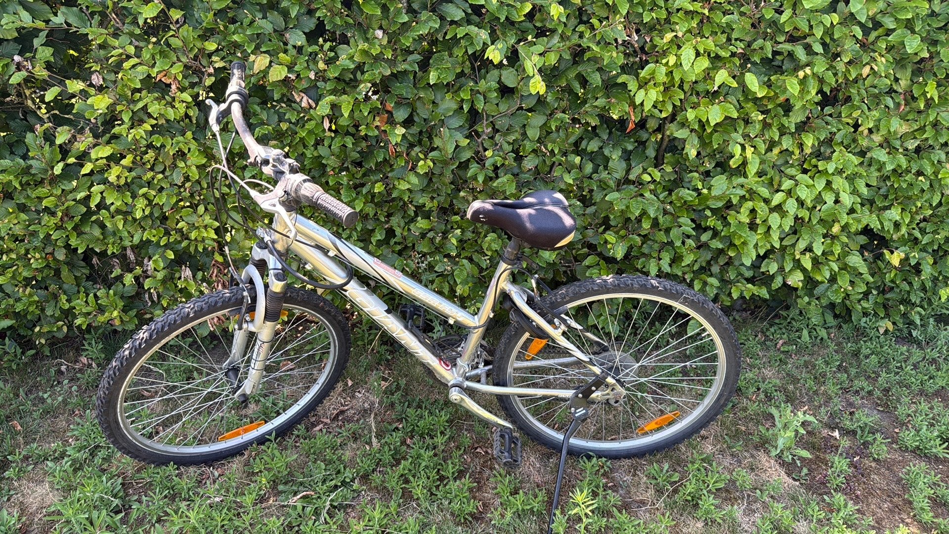 Fiets Giant gsr f5 enkel achterband kapot nieude aandezig, Fietsen en Brommers, Ophalen, Gebruikt, Heren, Overige merken