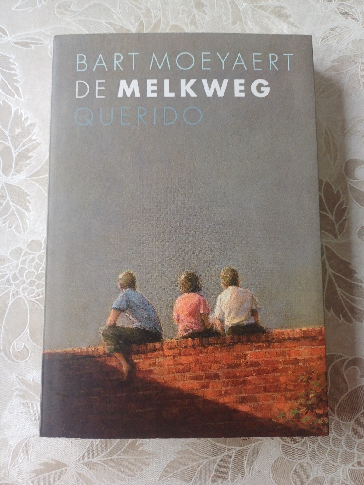 Bart Moeyaert - De Melkweg, Boeken, Ophalen of Verzenden, Zo goed als nieuw, Bart Moeyaert
