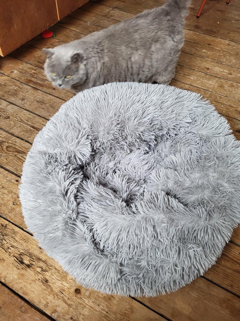 Panier pour chat/chien NEUF !, Enlèvement