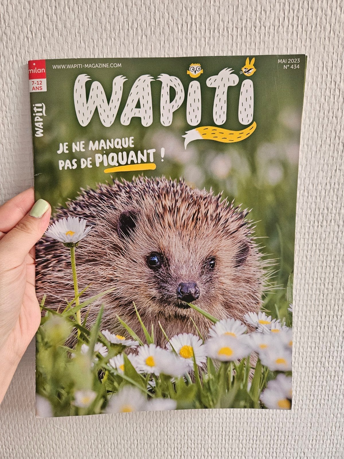 Magazine Wapiti N434 Mai 2023 - Hérisson - Milan 7-12 ans, Enlèvement ou Envoi, Comme neuf, Collectif, Livre d'images
