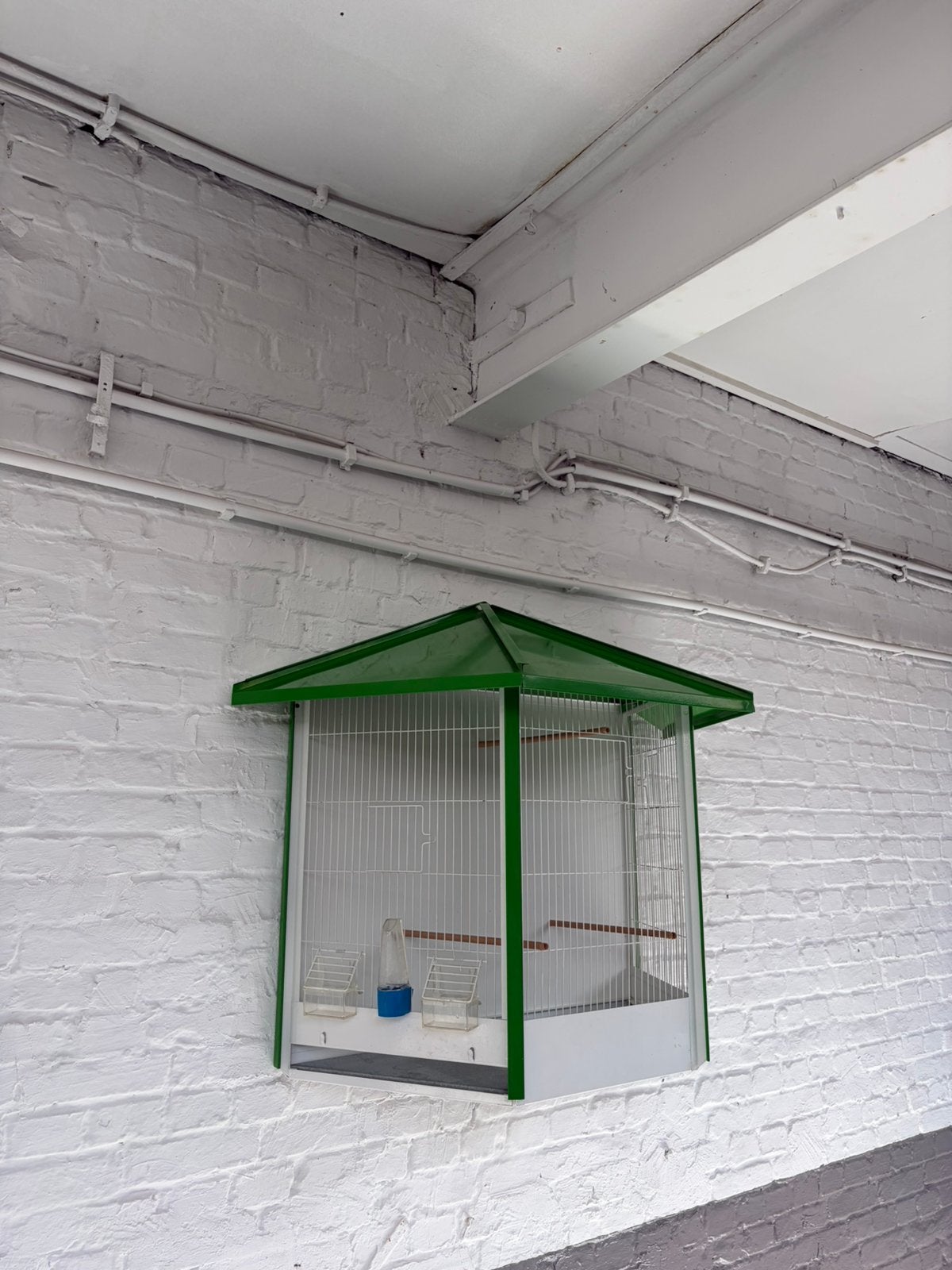 Wandvolière / Vogelkooi te koop, Ophalen, Zo goed als nieuw, Metaal, Vogelkooi