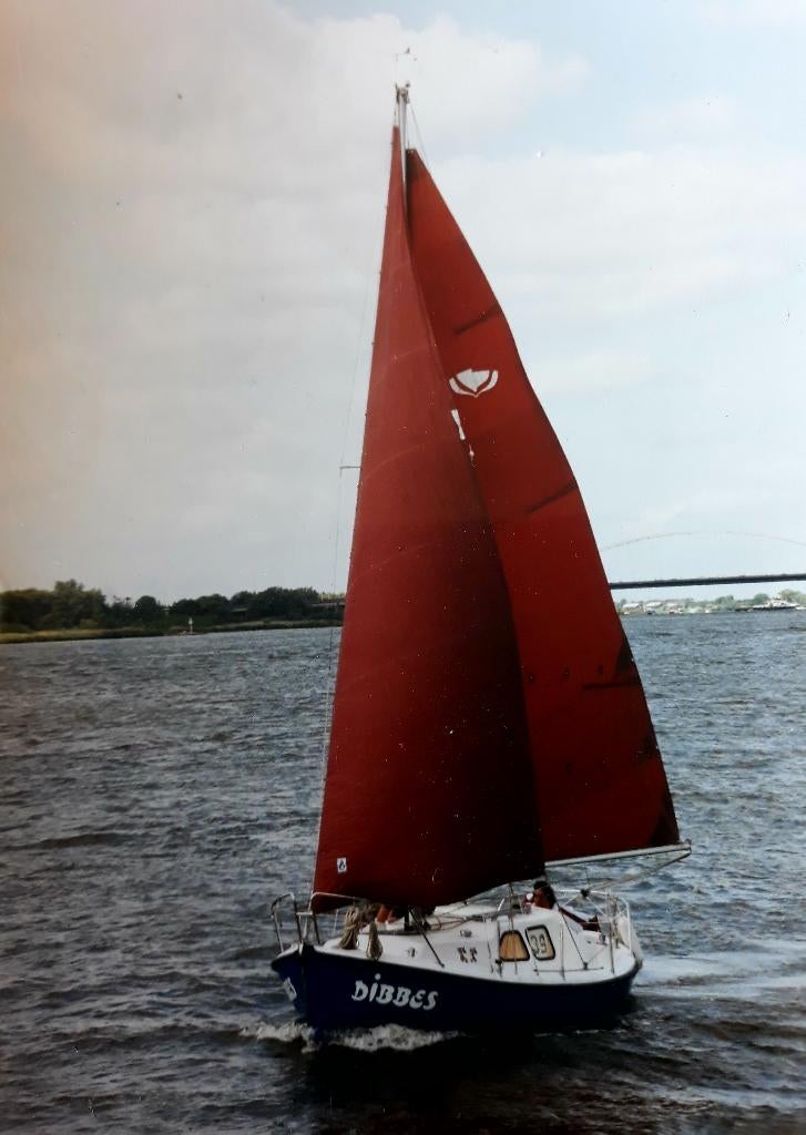 Nain 20, Bateau de plaisance ou Cruiser, Enlèvement, Utilisé, 6 à 9 mètres
