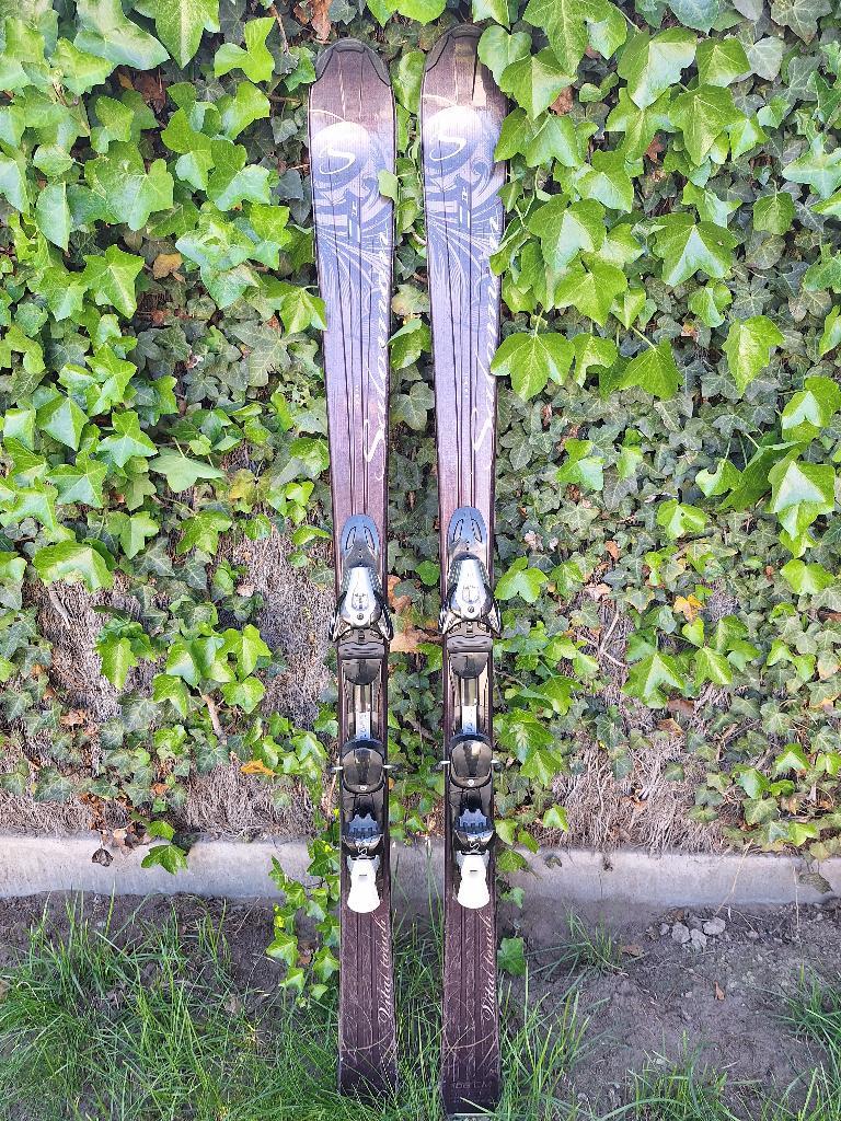 Ski Dames Salomon 158cm, Ophalen, 140 tot 160 cm, Gebruikt, Salomon