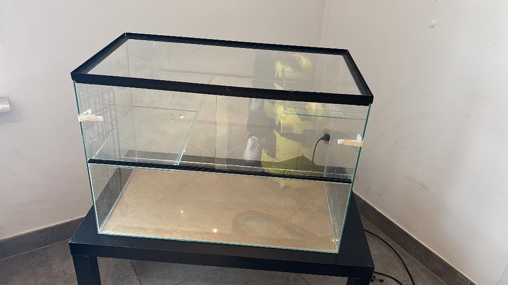 Terrarium (gereserveerd), Enlèvement, Utilisé, Terrarium ou Paludarium