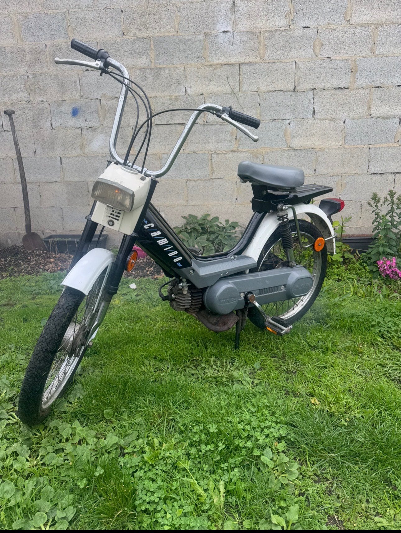 Honda Camino DX Vario Classe A, Enlèvement, Utilisé