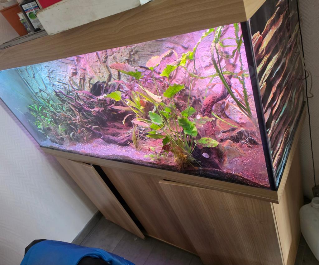 Aquarium rio 450, Enlèvement, Juwel