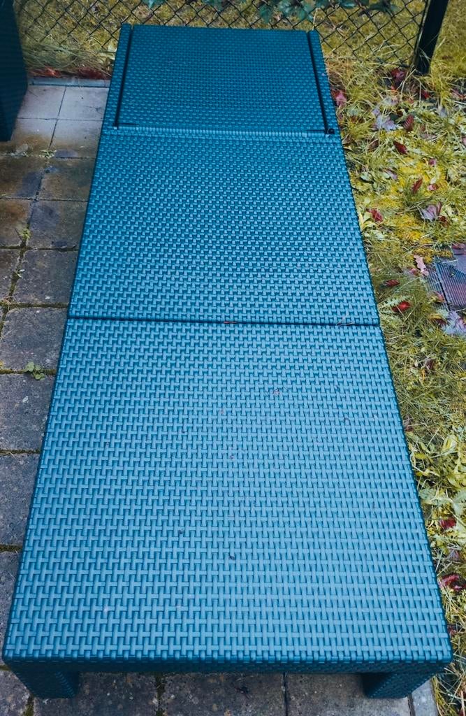 Terras van Allibert, Jardin & Terrasse, Chaises longues, Enlèvement