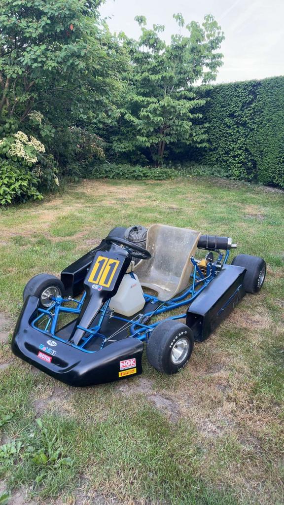 Rotax kart 100cc, Sport en Fitness, Ophalen, Zo goed als nieuw, Kart