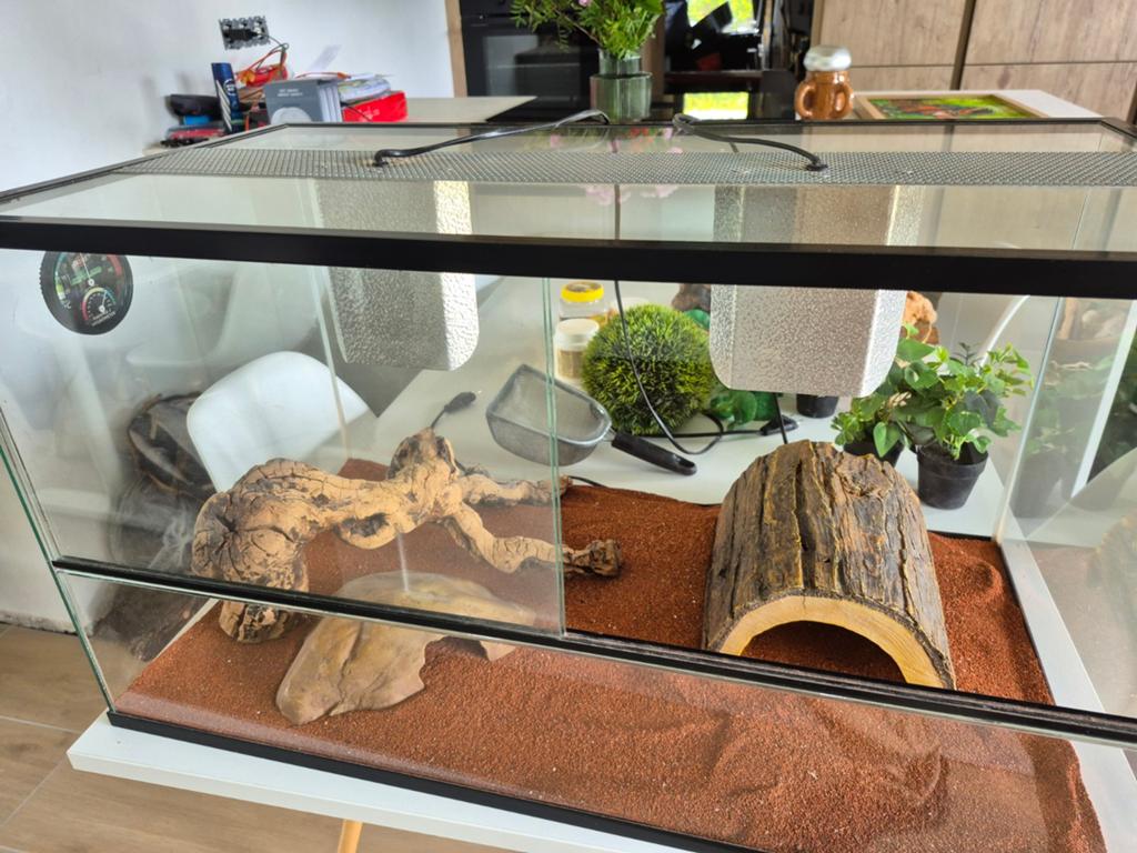 Mooi Terrarium met toebehoren, Dieren en Toebehoren, Ophalen