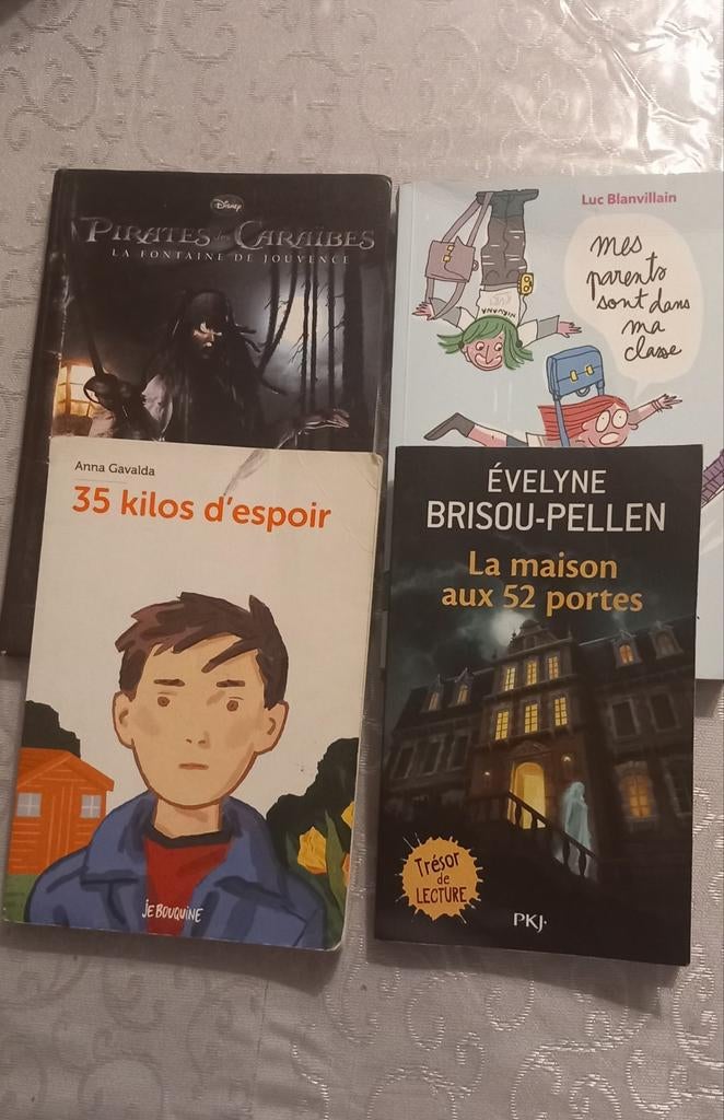 Lot de 4 livres jeunesse, Enlèvement, Utilisé, Divers auteurs