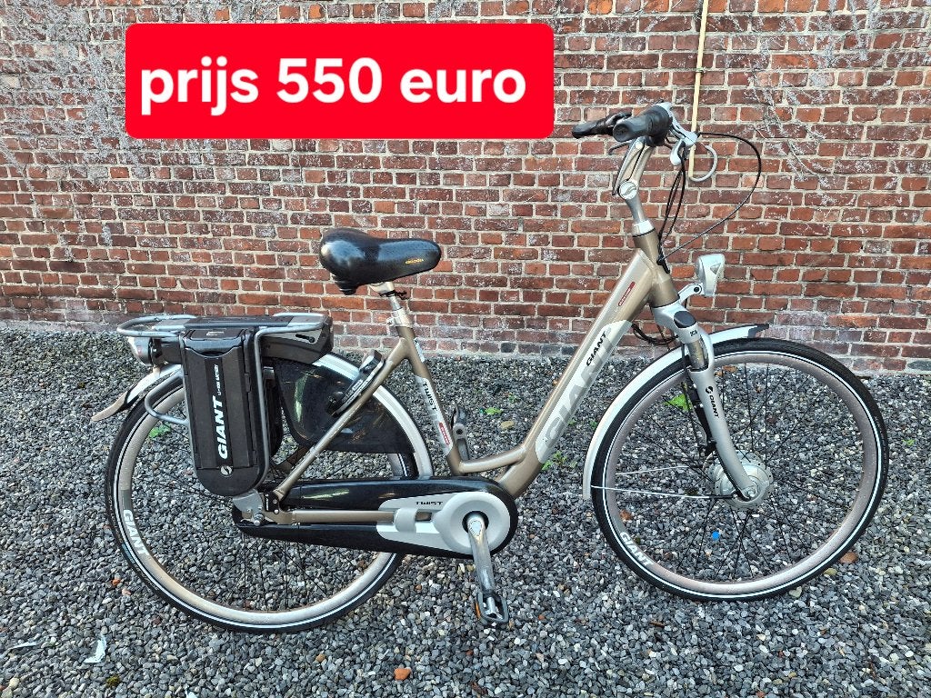 E bike giant perfect in orde framemaat weinig kms, Fietsen en Brommers, Ophalen, Giant, Zo goed als nieuw, 51 tot 55 cm