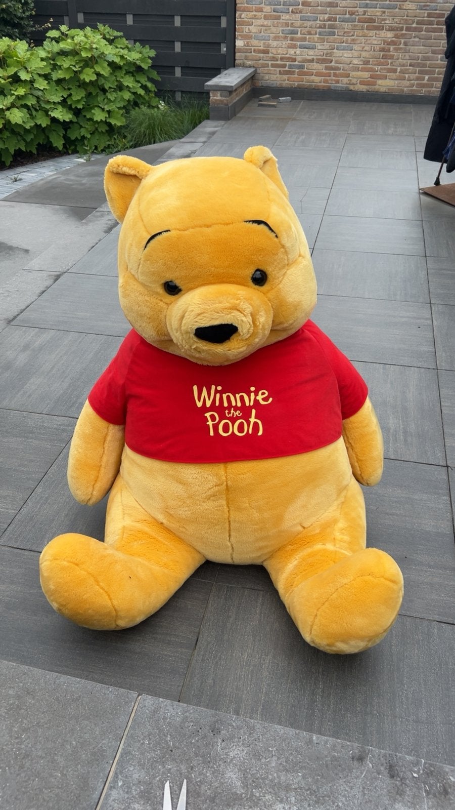 Winnie the Pooh, Ophalen, Nieuw