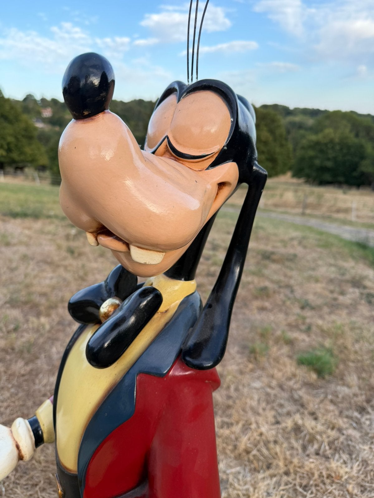 Disney Dingo Majordome 125 cm, Enlèvement