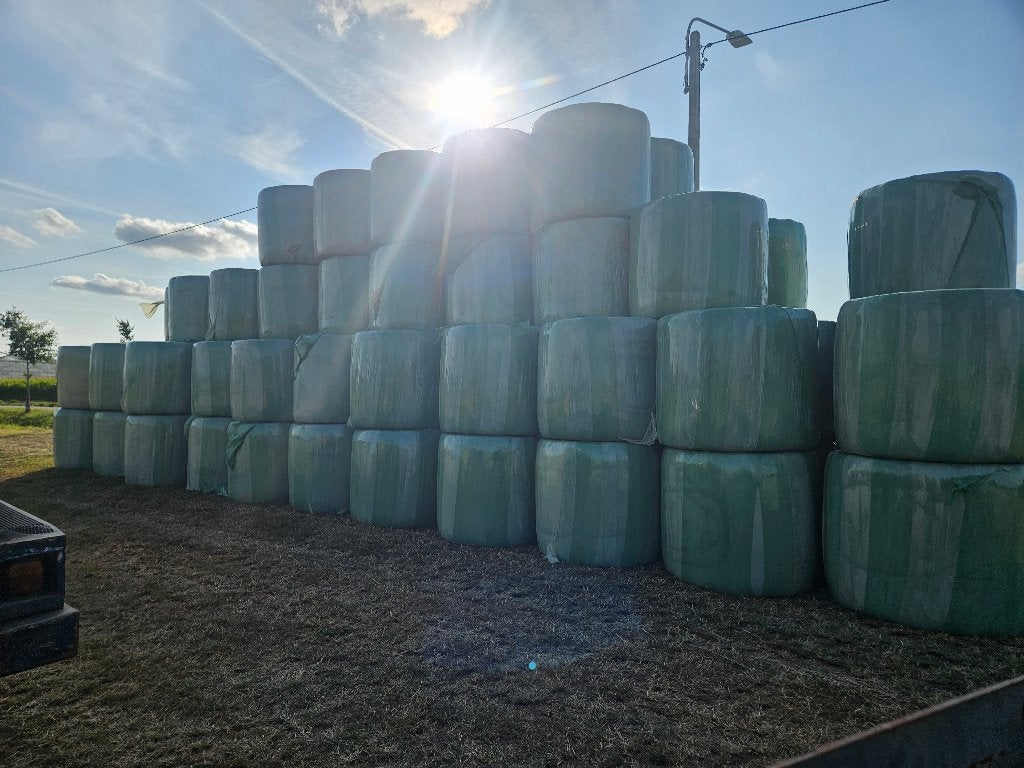 Voordroog gras en grasklaver balen dia 1m25 GRATIS LEVEREN, Zakelijke goederen, Landbouw | Veevoer, Ophalen of Verzenden