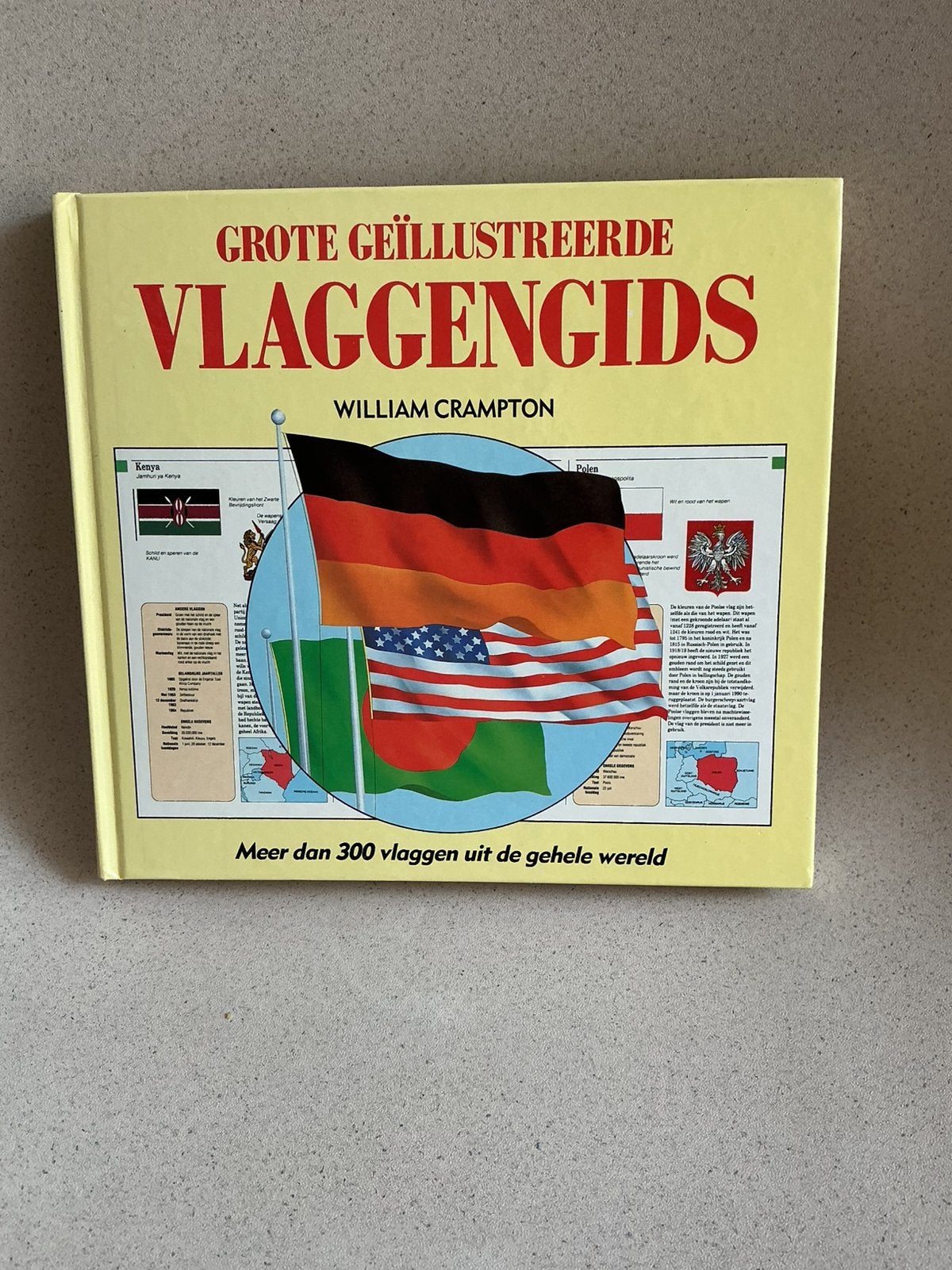 Grote geïllustreerde vlagggengids met meer dan 300 vlaggen, Divers, Enlèvement, Comme neuf