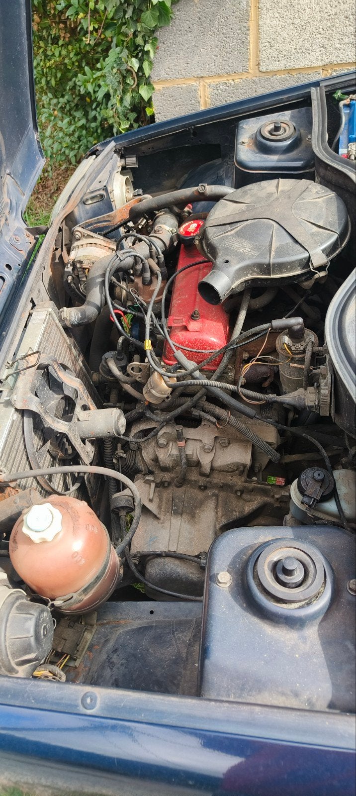 Renault Super 5, foto 7