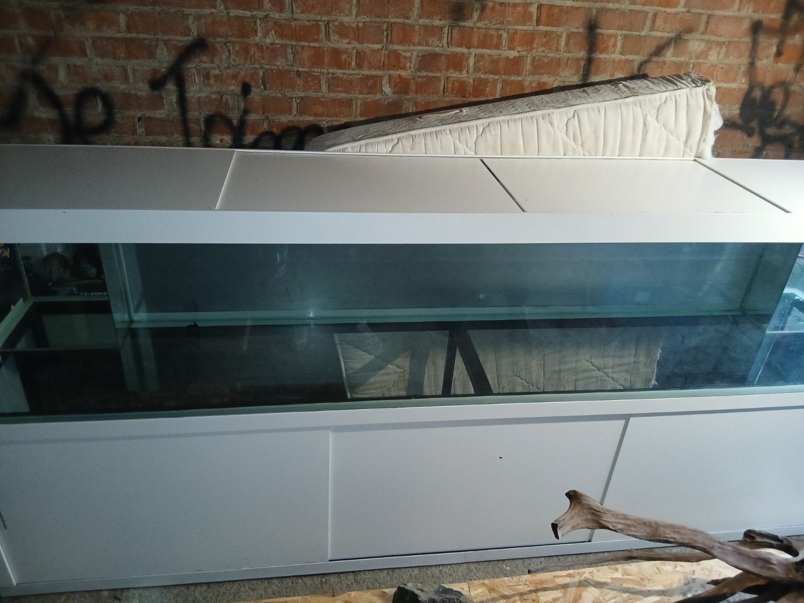 aquarium de 3m, Animaux & Accessoires, Enlèvement