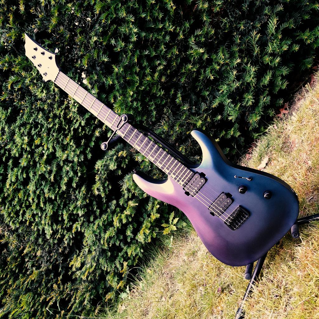 ESP LTD H-1001 Violet Andromeda, Muziek en Instrumenten, Ophalen, Zo goed als nieuw, Solid body, Overige merken