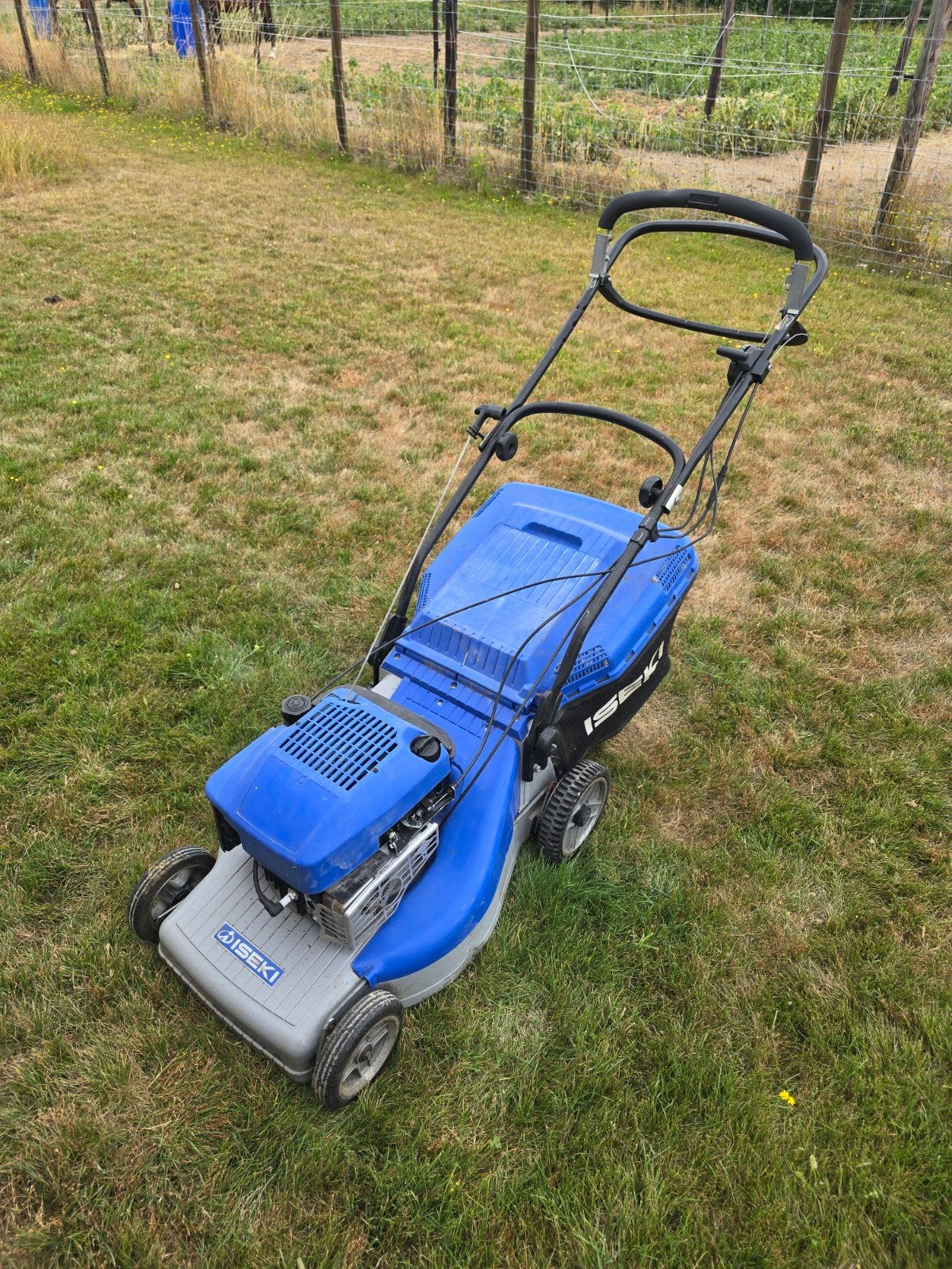 Iseki benzine grasmaaier., Jardin & Terrasse, Tondeuses à gazon, Utilisé, Tondeuses à gazon à essence, 50 cm ou plus, Sac de ramassage