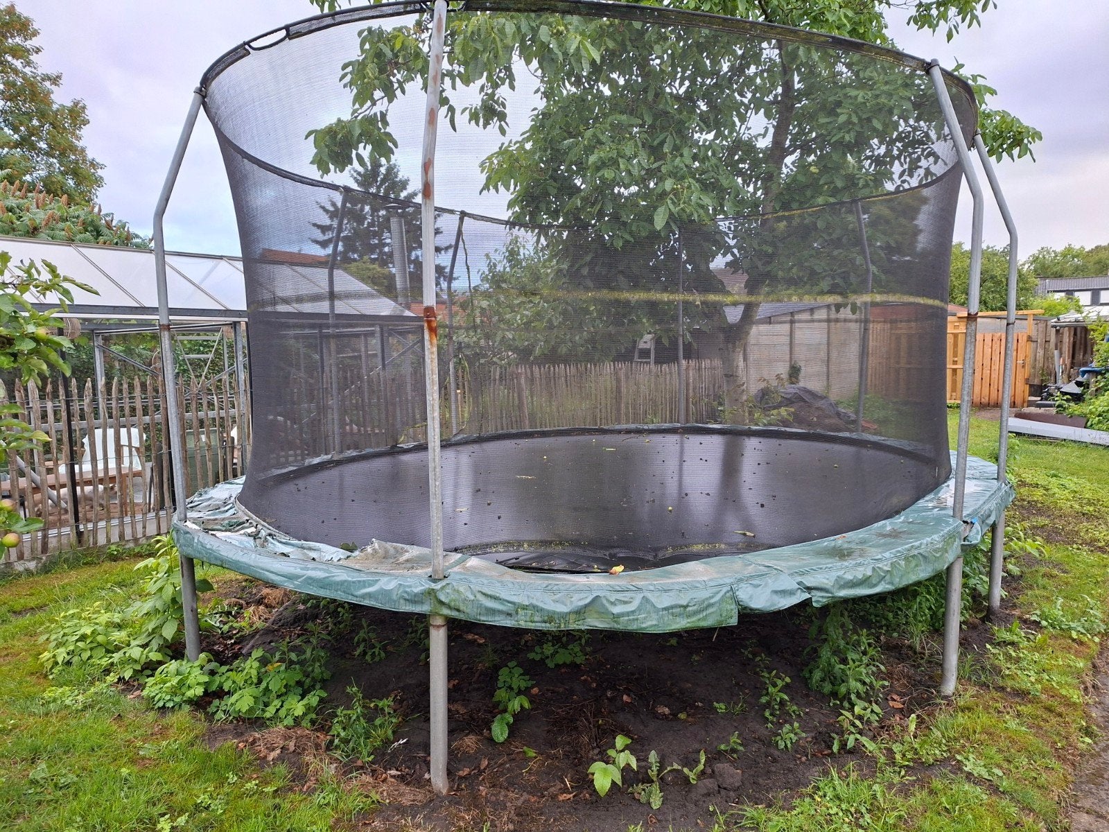 JumpKing ovaal supersize (>veiligheid) 520x425cm JumpPOD, Kinderen en Baby's, Speelgoed | Buiten | Trampolines, Ophalen, Gebruikt