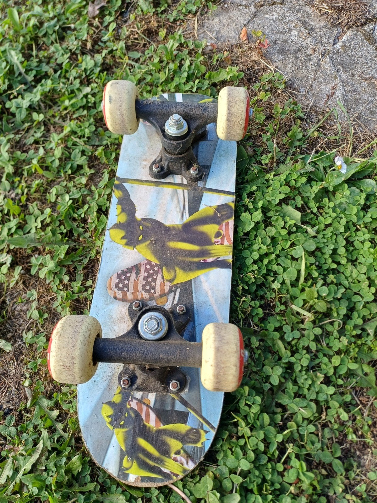 mini skateboard, Enlèvement, Utilisé, Skateboard