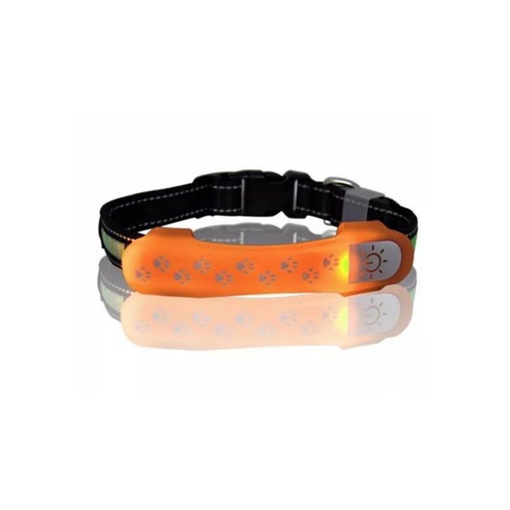 LED lichtband hond halsband hond, Enlèvement ou Envoi, Neuf