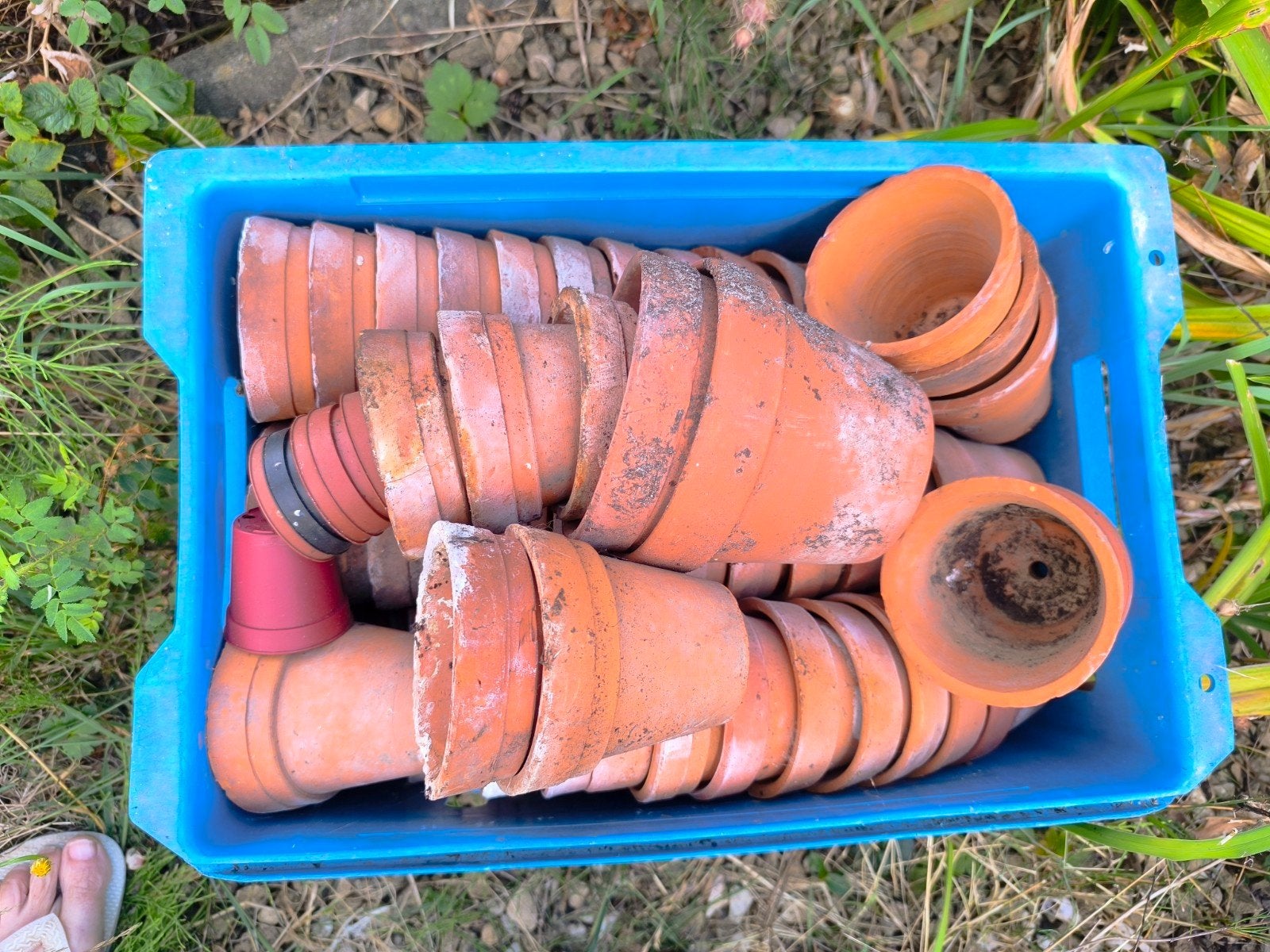 Pots de fleurs gratuits, Bricolage & Construction, Tuiles & Revêtements de toit, Enlèvement