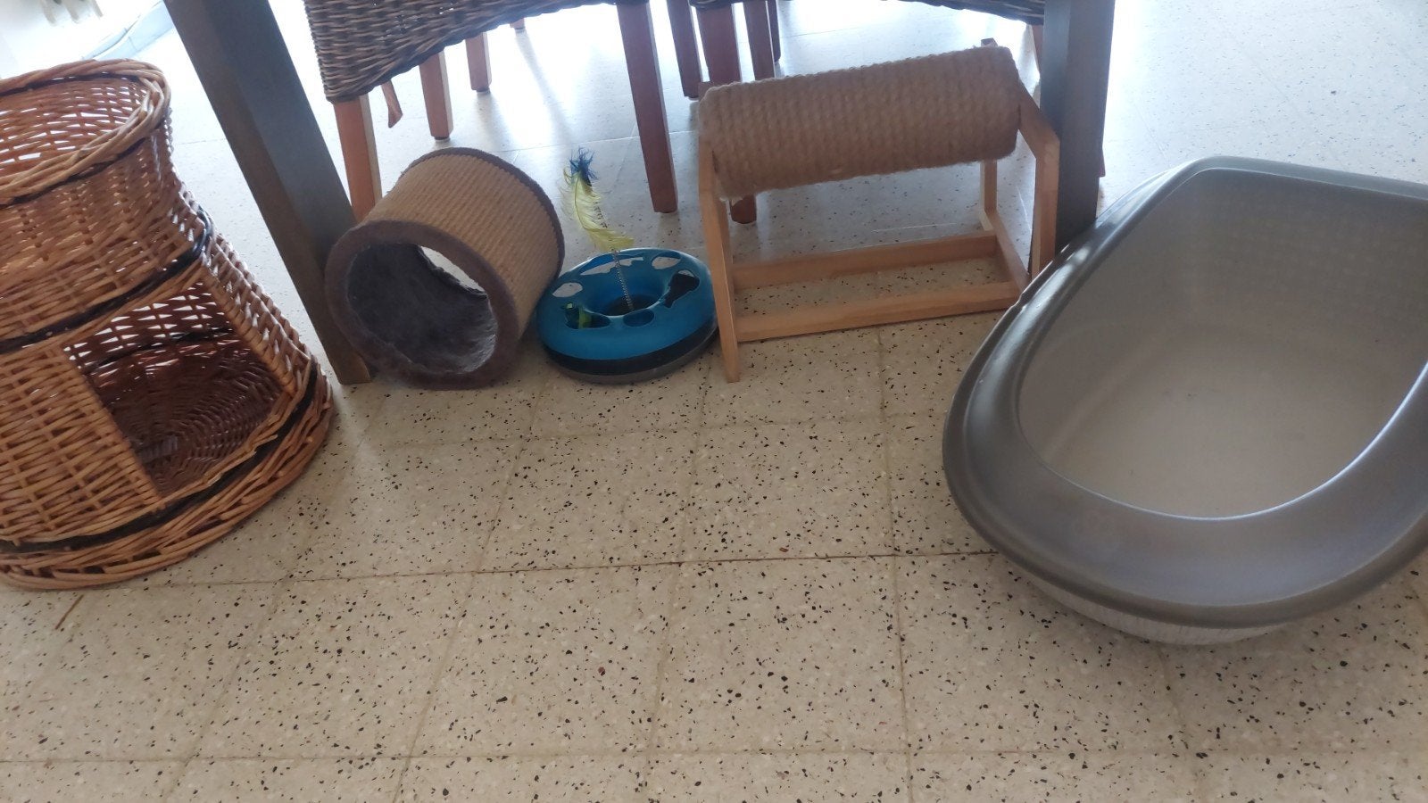 Lot kattenspullen, Ophalen