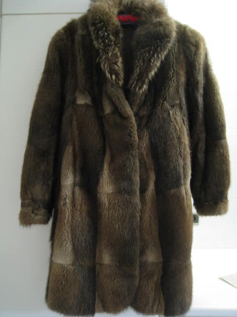 Jas, mantel, dames, pels, canadese muskus, maat 38, Enlèvement, Taille 38/40 (M)