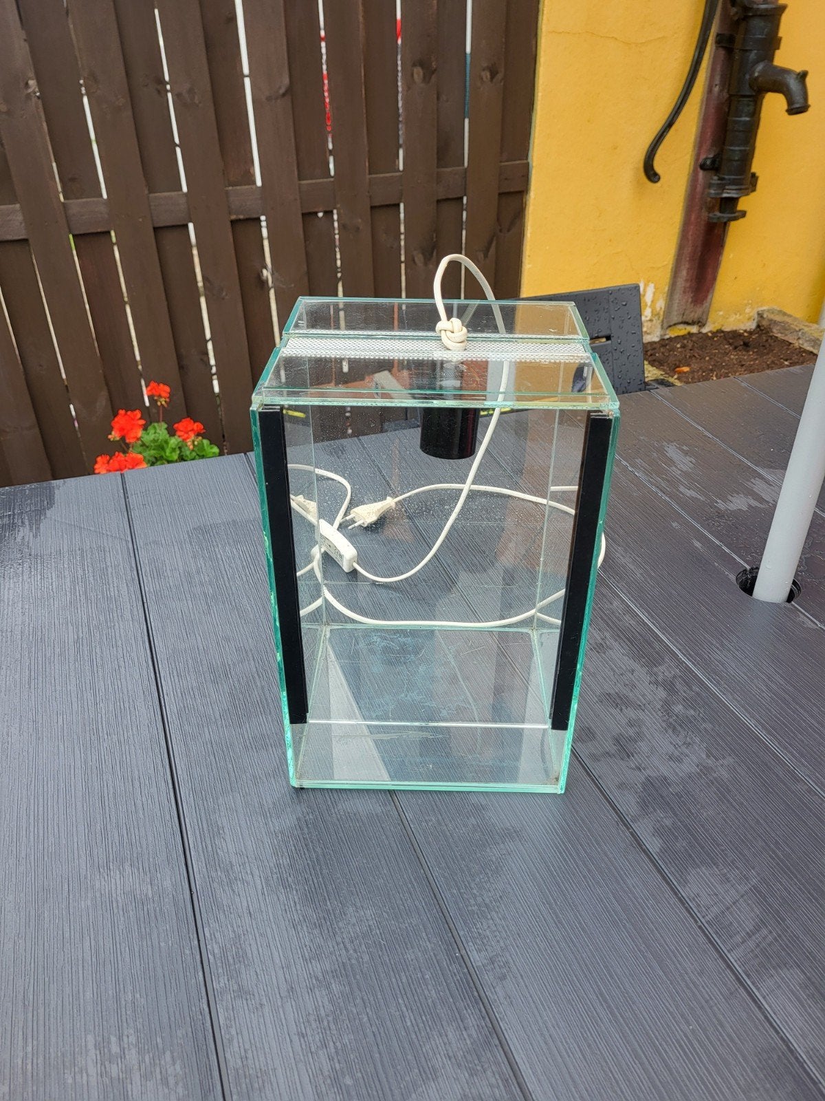 terrarium, Animaux & Accessoires, Enlèvement