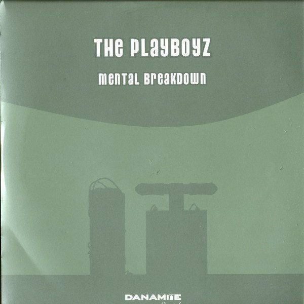 The Playboyz - Mental Breakdown, Enlèvement ou Envoi, Comme neuf, 12 pouces, House