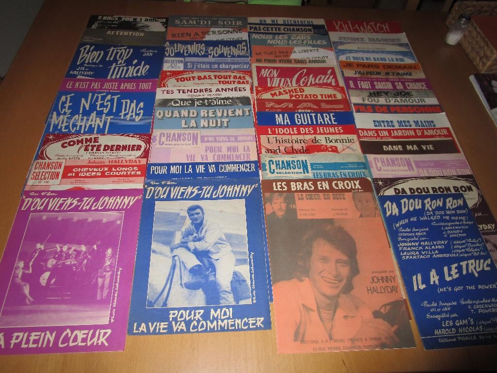 Johnny Hallyday : 50 partitions originales !, Enlèvement ou Envoi, Utilisé