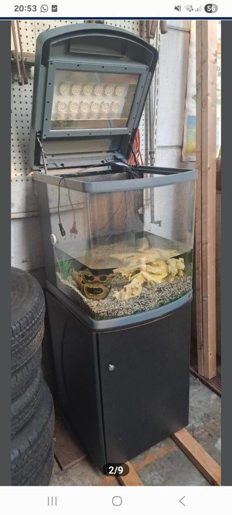 Aquarium sepia, Dieren en Toebehoren, Ophalen, Filter