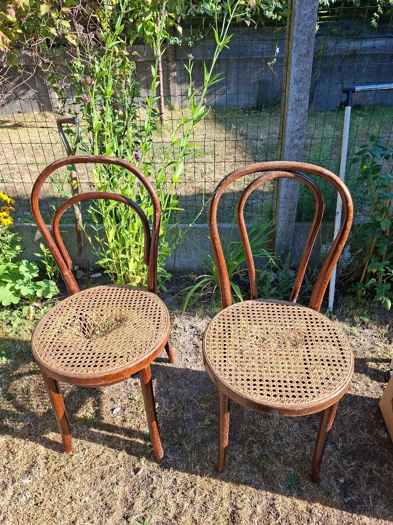 2 chaises style Thonet, Enlèvement, Utilisé, Bois, Deux