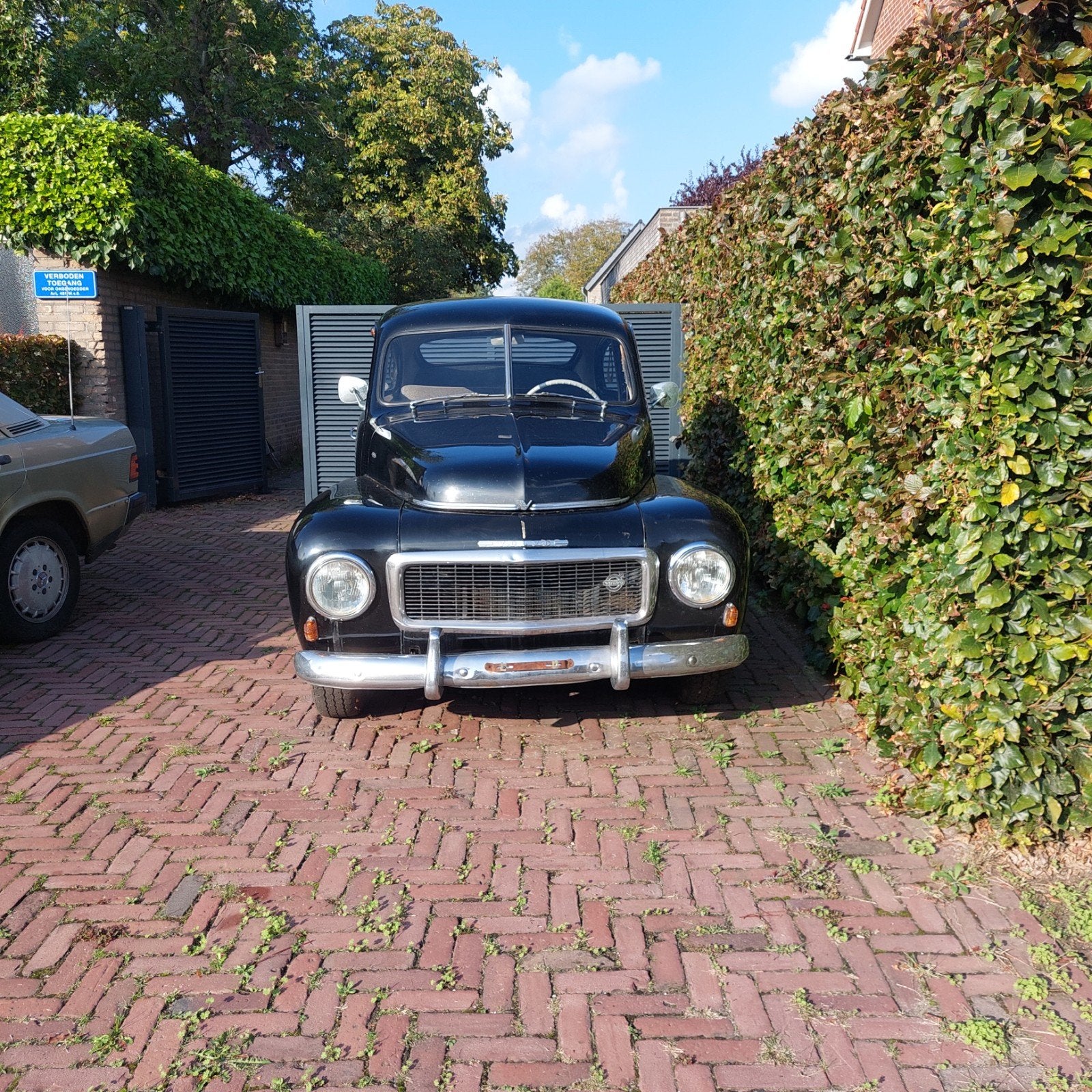 Volvo PV 444 K 1954, foto 2