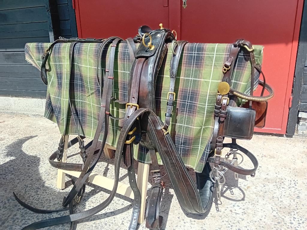 Harnais pour grand poney, Enlèvement, Utilisé, Autres espèces