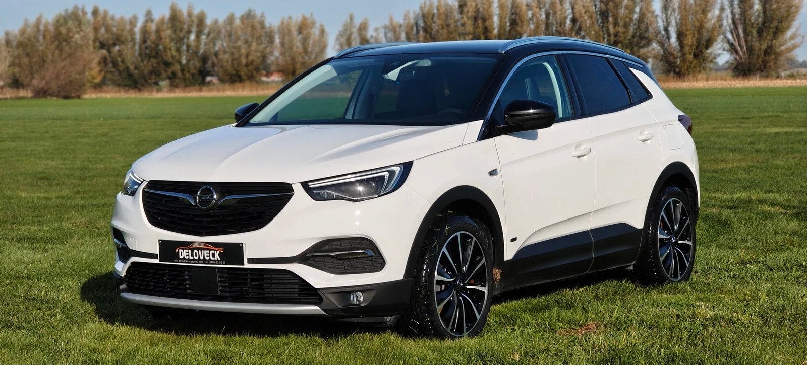 Opel Grandland X Plug in Hybride 4x4 Innovation, Autos, Achat, Euro 6, Entreprise, 200 ch